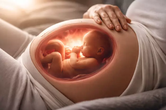 رحلة الجسد الأنثوي من الحمل إلى الولادة وكيف تصنع الرياضة والحركة ولادة أسهل وأكثر أمانا