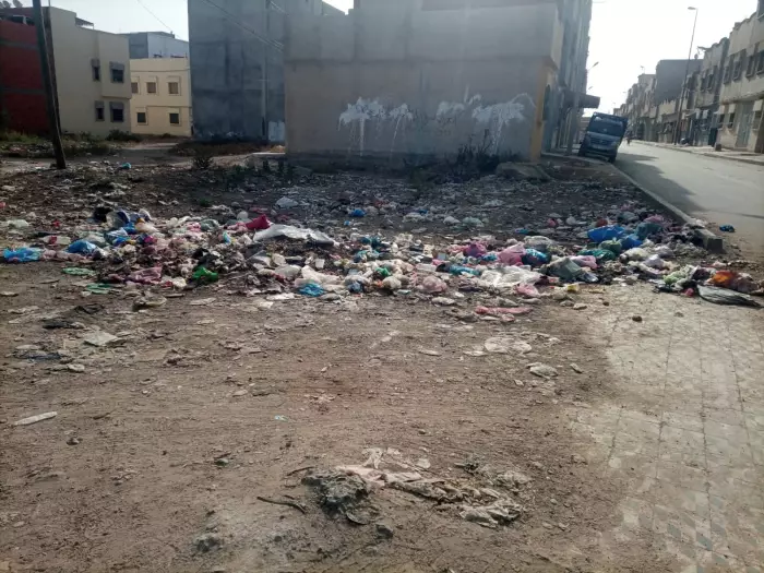 شنْ الطنْ..الباعوض بسبب العفن