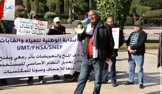 تنسيقية الهيئات الغابوية تُحذر الحكومة من التماطل وتهدد بشل سير الوكالة (بلاغ)