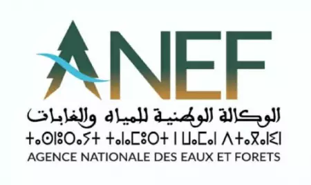 المغرب يطلق أول استراتيجية من نوعها لحماية الطيور الجارحة ويكرس ريادته البيئية