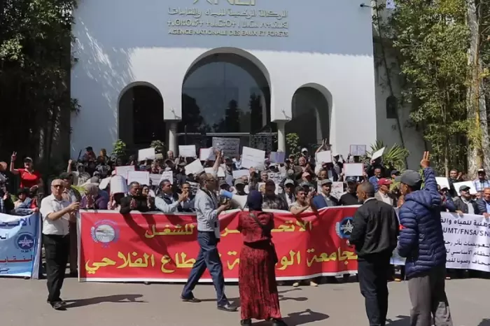 نقابة المتعاونين الغابويين تُصعّد احتجاجاتها وتدعو إلى اعتصام مفتوح أمام وكالة المياه والغابات بالرباط