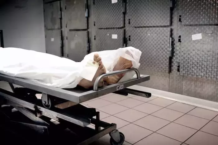 انقر على الرابط او الصوره لقراءه المقال