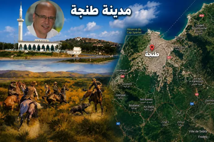 بمناسبة اليوم العالمي للبيئة:الطلحي يدعو لتأسيس تنسيقيات لحماية وتثمين غابات طنجة
