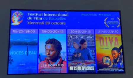 سينما المغرب تبهر بروكسيل بفيلمين يعكسان عمق المجتمع وتنوع الهوية