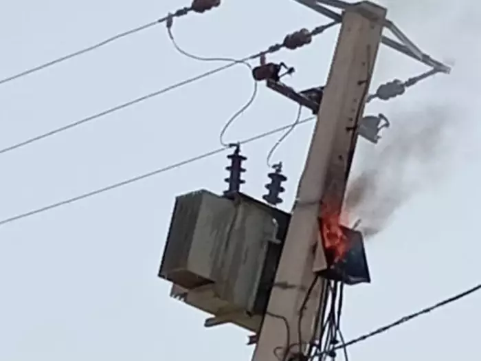 جماعة "ابني ثور" شهرٌ من الظلام هل هؤلاء مواطنين من الدرجة الأخيرة ؟