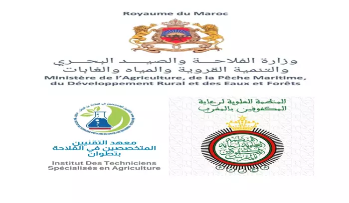 زراعة الأمل بنور البصيرة: مبادرة ملكية رائدة تفتح آفاقًا خضراء للمكفوفين