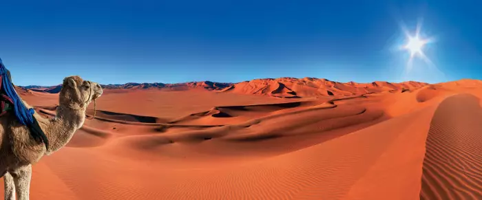 الصحراء المغربية من الإجماع الوطني إلى التأييد الدولي.."العدالة والتنمية" يثمّن الموقف البريطاني ويؤكد على الوحدة خلف الملك