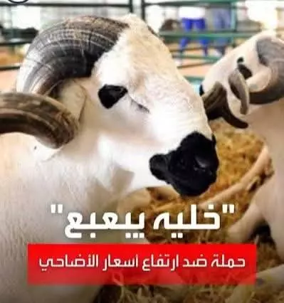 انقر على الرابط او الصوره لقراءه المقا