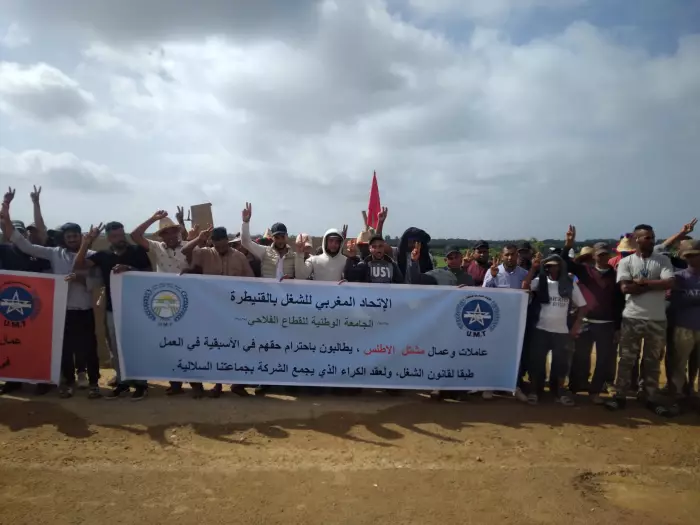 عمال فلاحيون بضواحي مولاي بوسلهام يصعّدون ونقابة تحذر من احتجاجات غير مسبوقة