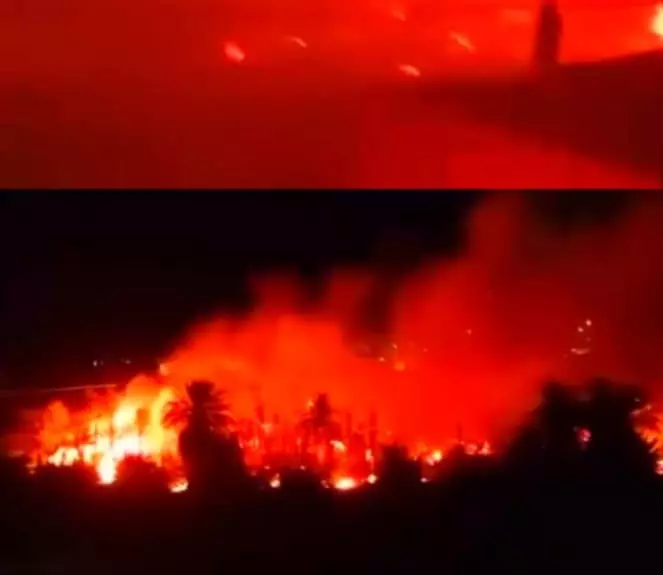 لهيبٌ في قلب الواحة... النيران تلتهم الزاك تحت جنح الظلام