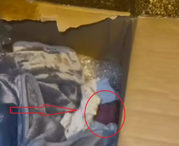 انقر على الرابط او الصوره لقراءه المقال