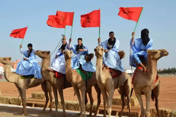 كرنفال استعراضي يحول المدينة إلى لوحة تراثية نابضة بالحياة في كلميم