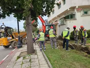زمن الفوضى انتهى سلطات طنجة تعلن الحرب على التلوث البصري قبل العرس الإفريقي