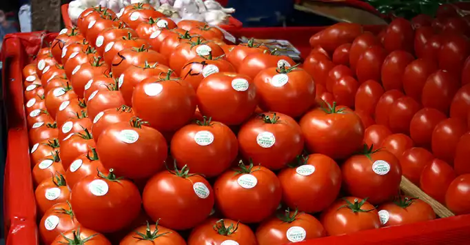 طماطم المغرب وتركيا تُمنع من دخول روسيا بسبب فيروسات حجرية