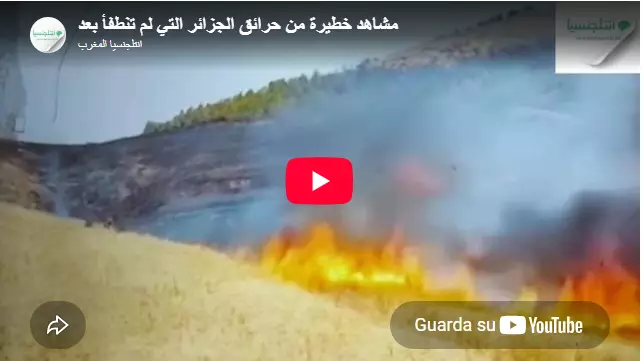 مشاهد خطيرة من حرائق غابات الجزائر والتي لم تنطفأ بعد لحد الساعة