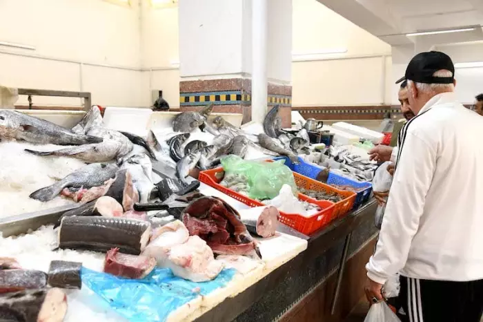 اعتراف أمريكي جديد يعزز مكانة المصايد المغربية في السوق الدولية