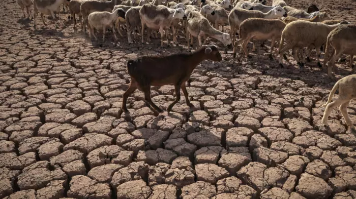 الواقع المغربي يدق ناقوس الخطر وحرارة الأرض ترتفع..فهل نحن مستعدون لزمن الصدمات؟