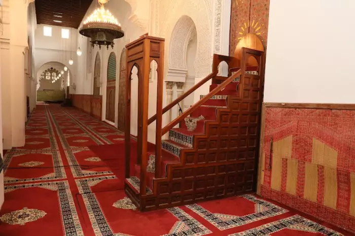 صلة الرحم حياة للقلوب وقطيعتها باب من أبواب الخسران