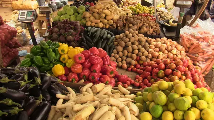 المغرب الأخضر يئن تحت رحمة السماء: فلاحون بين مطر غادر وحرارة قاتلة