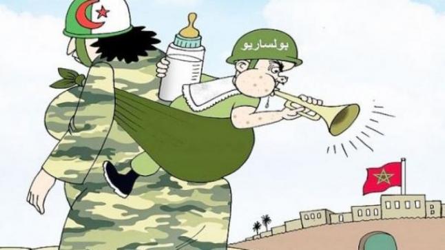 صفعة للجزائر والبوليساريو..